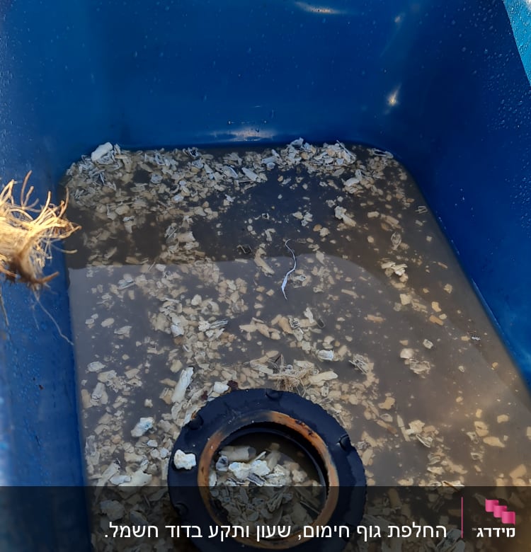 חלק פלסטיק שחור במים עם שבבים